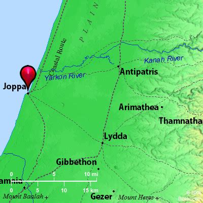 joppa map|lydda joppa map.